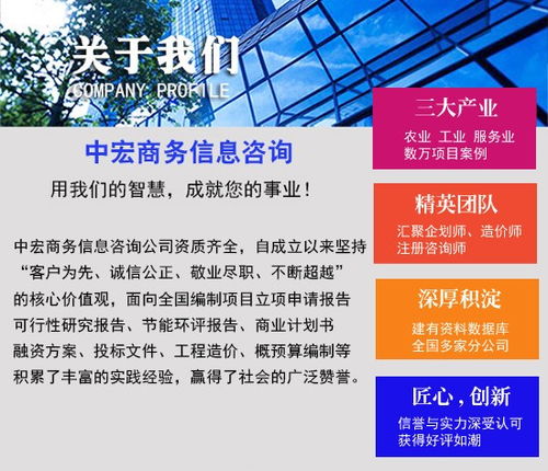 鄒平商業(yè)計劃書專業(yè)代寫與商務信息咨詢服務企劃案
