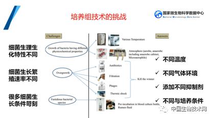 培養(yǎng)組通幽微世界，助力微生物資源大作為——記國(guó)家微生物科學(xué)數(shù)據(jù)中心網(wǎng)絡(luò)精品課網(wǎng)絡(luò)技術(shù)開發(fā)